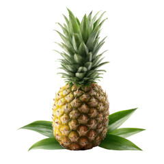 Fototapeta premium Golden Pineapple: The image showcases a single, ripe pineapple, a tropical fruit, with its spiky, textured rind and vibrant green crown of leaves, conveying freshness and natural goodness.