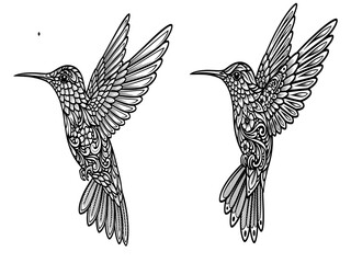 Vector art of two hummingbirds in flight, with intricate details, beautiful bird with long beak and wings