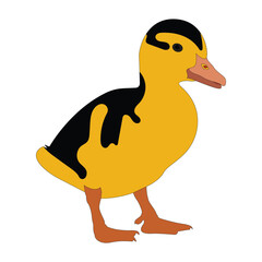 Vector illustration of a cute yellow and black duckling isolated on transparent background.