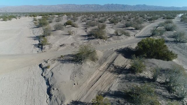 Desierto Latino Argentino