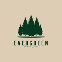 Fototapeta premium evergreen logo, pine tree logo icon vector illustration design template
