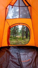 Tent in the woods with misty light and autumn trees