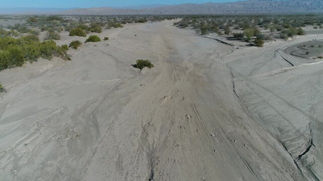 Desierto  Latino Argentino