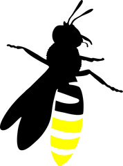 flies are searching for food