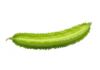 Green winged bean vegetable isolated on a transparent background