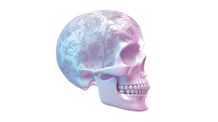 Floral skull symbolizes Day of the Dead, created with AI, PNG