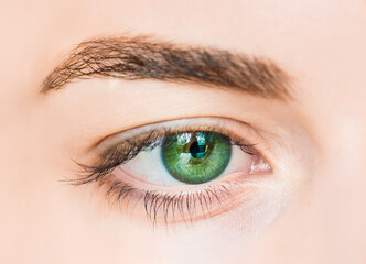 Obraz premium Extreme Close-Up Of hazel green girl eye - Macro image of girl eye