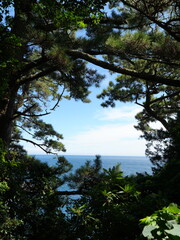 Kinosaki Coast Ocean View