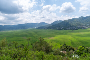 Obraz premium Unique aerial wide shot of the vibrant green Lingko rice fields in Ruteng, Flores, NTT, Indonesia, famous for their traditional spider web-like land division pattern (Lodok). 