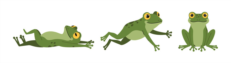 Cute Green Frog Character Set in Different Poses Like Jumping and Sitting