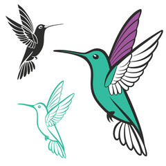 Elegant Hummingbird Vector Illustration Collection in Teal Black and Purple with Detailed Wing Design Ideal for Graphics and Prints