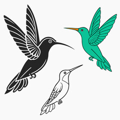 Elegant Hummingbird Vector Illustration featuring Black Silhouette Outline and Vibrant Teal Bird Depicted Against a White Background