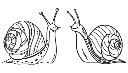 Snail line art and illustrator eps 10 