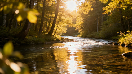 Obraz premium Sunlit forest stream with trees