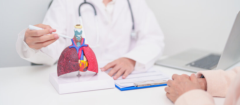Doctor point Thyroid and Cricoid of Respiratory system anatomy for Diseases. Lung Cancer, Asthma, Chronic Obstructive Pulmonary, Bronchitis, Emphysema, Cystic Fibrosis, Bronchiectasis and Pneumonia - Powered by Adobe