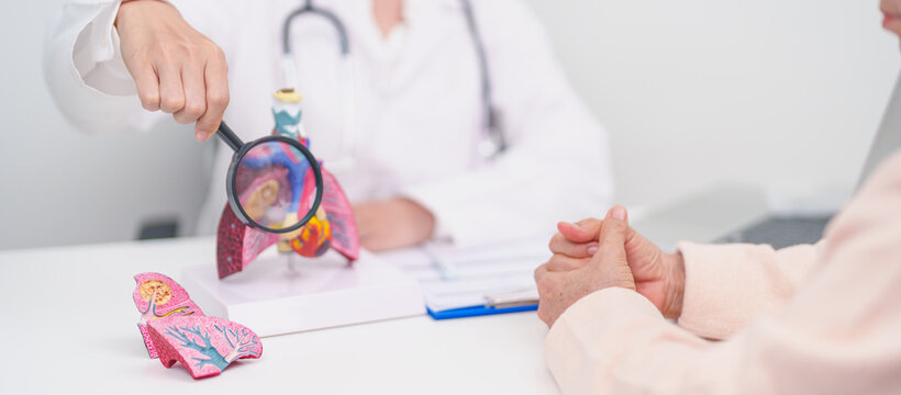 Doctor with Respiratory system. Elderly Patient consultation medical health for Lung Cancer, Asthma, Chronic Obstructive Pulmonary, Bronchitis, Emphysema, Cystic Fibrosis, Bronchiectasis, Pneumonia