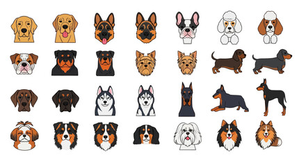 Collection of various dog breed head illustrations in a cartoon style, arranged in rows on a white background. © sanatun