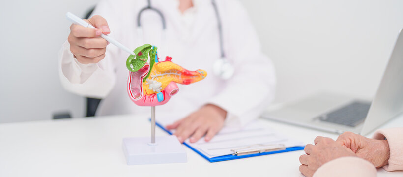 Elderly Patient consultation with doctor for Pancreas, Gallbladder, Bile Duct, Duodenum, Small intestine. Pancreatic cancer, Acute and Chronic pancreatitis, Digestive system and medical healthcare