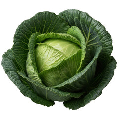 Obraz premium Close-up of a freshly harvested cabbage head, with vibrant green leaves against a dark background