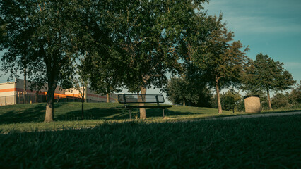 La solidez de un árbol es incomparable