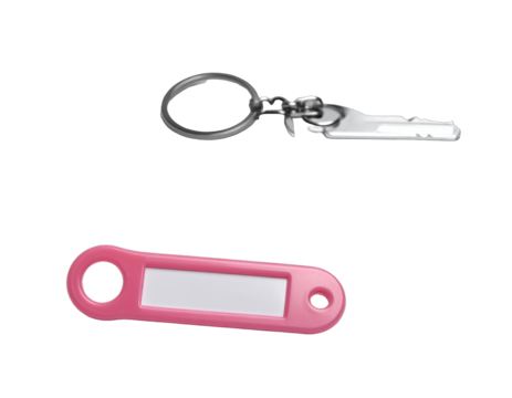 Two keychains; metal clip above pink rectangle