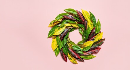 Vibrant natural wreath of colorful Croton leaves on pastel pink background creates a fresh, organic feel perfect for branding or creative projects