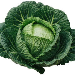 Obraz premium Lush green cabbage head, tightly packed leaves, isolated on black background, healthy food