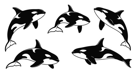 A charming collection of orca whale illustrations in dynamic poses.