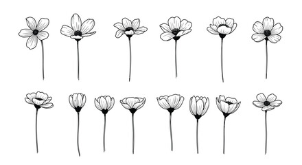A collection of delicate hand drawn wildflower illustrations in a sketchy artistic style.