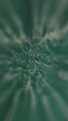 Optical Distortion Transitions Pack Vertical | 5 Cinematic Lens Warp Styles for Mobile and Social Videos