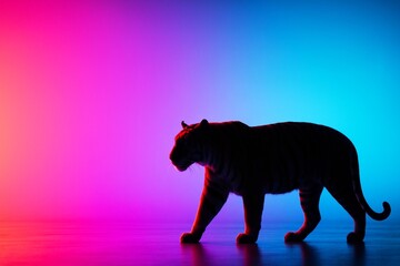 Silhouette of tiger walking gracefully with glowing light on abstract gradient background of pink, violet and blue tones in studio lighting effect. Ai generative