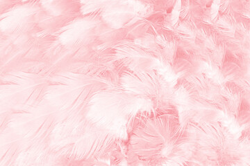 Beautiful abstract soft pink feather pattern texture background 