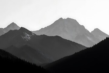 mountains in the fog