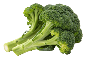 Fresh green broccoli florets healthy vegetable food photography closeup macro detail