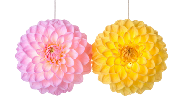 Two chrysanthemum flower lantern variations with layered glowing petals, isolated on transparent background - Powered by Adobe