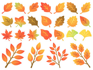 色々な秋の紅葉と枝のイラストセット
