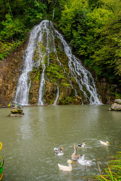Ducks swimming at Khalkhal Waterfall in Oghuz Azerbaijan