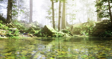 Obraz premium A tranquil pond reflects the bright light filtering through trees in a peaceful forest. Lush green plants and soft fog create a calming atmosphere in the natural setting.