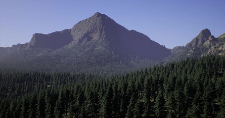 Fototapeta premium A towering mountain stands tall above a dense expanse of evergreen trees under a bright blue sky. The landscape showcases natural beauty and tranquility in a pristine environment.