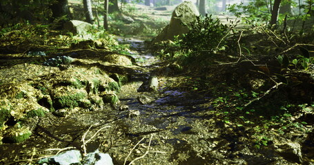 A clear stream of water winds through a lush forest, surrounded by rocks and greenery. Sunlight filters through trees, creating a tranquil atmosphere in this natural setting.