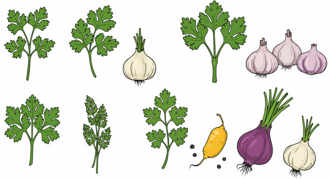 Fresh herbs and vegetables collection with transparent background