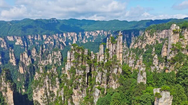 Majestic Zhangjiajie national forest park: towering sandstone pillars emerging from lush green forest, Wulingyuan Scenic Area, Hunan Province, China.