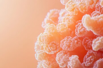 Close-up macro shot of coral-inspired organic texture in pastel orange-pink tones, soft and rounded details