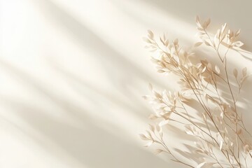 Delicate dry twigs with beige leaves casting soft shadows on a light cream background.