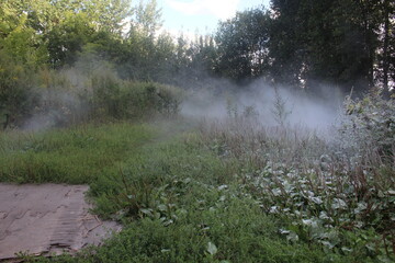 Landscape nature with fog. Early morning. Foggy view