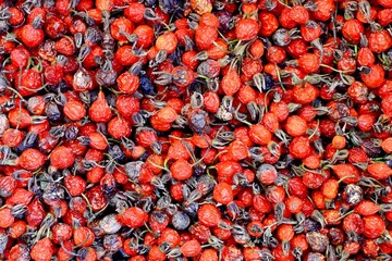 Juicy, beautiful rosehip berries,close-up, beautiful background.