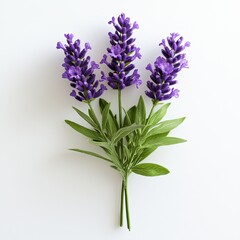 Naklejka premium Beautiful Lavender Bouquet on White Background Fresh Floral Arrangement for Home Decor and Interior Design