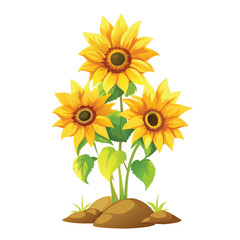 Fototapeta premium Vector illustration Three bright yellow sunflowers with green leaves and brown soil