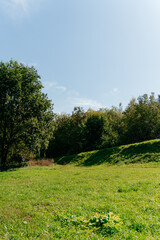 Scenic green meadow with trees under a clear blue sky on a sunny day orange autumn 
