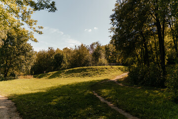 Obraz premium Scenic green meadow with trees under a clear blue sky on a sunny day orange autumn 